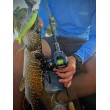 Μηχανισμός Baitcasting Filstar Sting 101L