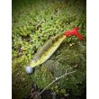 Силикон SeaBuzz Turbo Shad