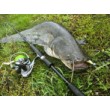Силикон SeaBuzz Turbo Shad