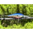 Воблер Rapala Harvest Shad