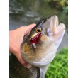 Pește de pescuit Sea Buzz Chub Bug Wobbler