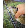 Pește de pescuit Sea Buzz Chub Bug Wobbler
