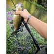 Pește de pescuit Sea Buzz Chub Bug Wobbler
