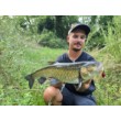 Pește de pescuit Sea Buzz Chub Bug Wobbler