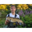 Pește de pescuit Sea Buzz Chub Bug Wobbler
