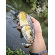Pește de pescuit Sea Buzz Chub Bug Wobbler