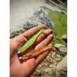 Κεφαλή jig με γάντζο Filstar Eco Pack 25 τεμ.