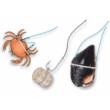 Stonfo Magnum Bait Elastic Bands