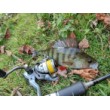 Bait Breath - Fish Curly