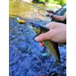 Pește de pescuit Sea Buzz Chub Bug Wobbler