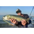 Flash-X Skitter Wobbler