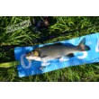 Spinner Aglia Long Cast