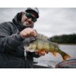 Rapala Shad Rap Elite Wobbler