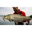 Creion oscilant Rapala Precision Xtreme