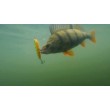 Creion oscilant Rapala Precision Xtreme