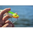 Μολύβι Rapala Precision Xtreme για αλμυρό νερό