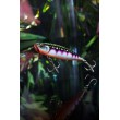 Μολύβι Wobbler Rapala Precision Xtreme EXO
