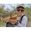 Salmo Hornet Sinking Wobbler