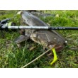 Lansetă de pescuit Filstar Silver Shadow EVO