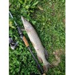 Lansetă de pescuit Filstar Silver Shadow EVO