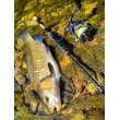 FilStar Venom River Crank