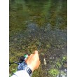FilStar Venom River Crank
