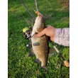 FilStar Venom River Crank