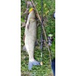 FilStar Venom River Crank