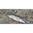 FilStar Venom River Crank