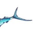 Decorațiune murală EuroCatch 3D cu marlin