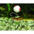 DB Boilies Pop Ups Two Tone - Banane și Krill