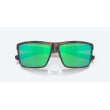 Costa Rinconcito, Matte Tortoise, Green Mirror 580P