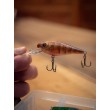 Salmo Rattlin' Executor SDR Wobbler