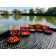 Αλτήρες Double Trouble Wafters FilStar Premium για τροφοδότη κυπρίνων