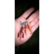 BB - RushCraw U30