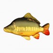 Cushion - Carp