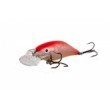 Balansoar Executor Shallow Runner - plutitor