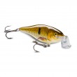 Shallow Shad Rap