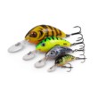 Rattlin’ Hornet - floating