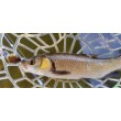 Pește de pescuit Sea Buzz Chub Bug Wobbler