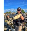 Силикон SeaBuzz Turbo Shad