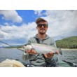 Jig Spinner Westin DropBite Tungsten Spin Tail