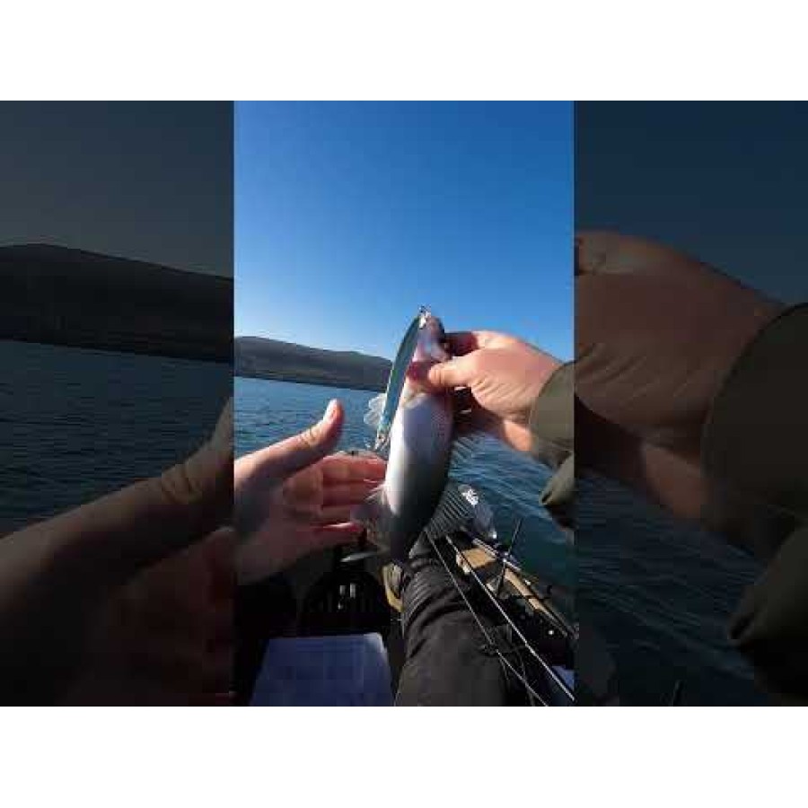 Wobbler Westin Sandy Fixed SBass