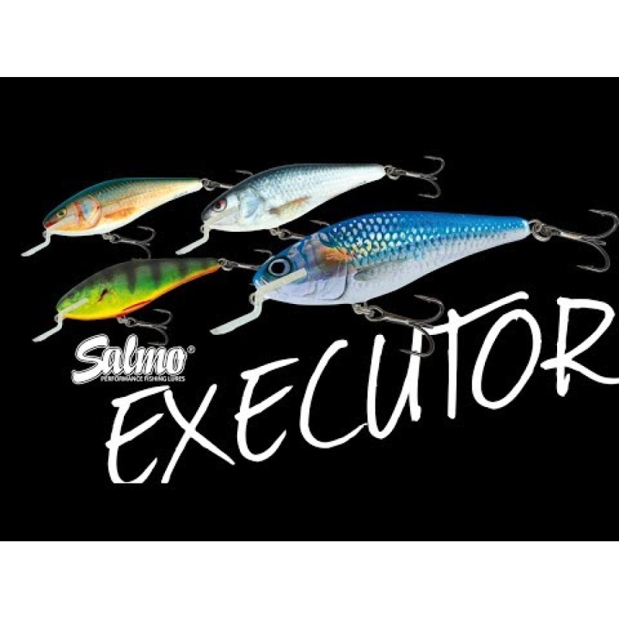 Balansoar Executor Shallow Runner - plutitor