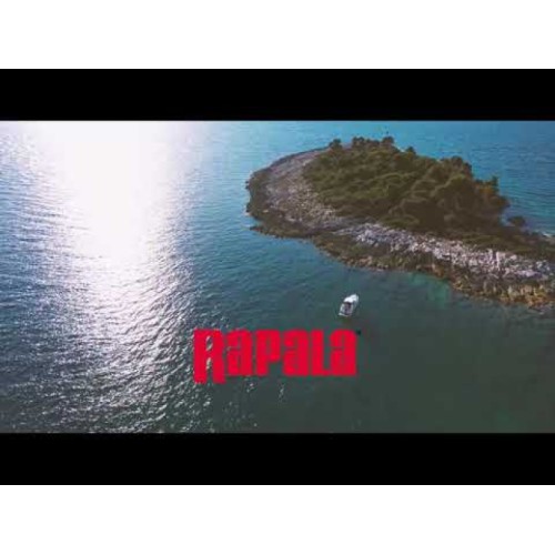 Wobbler Rapala Flash-X Extremo