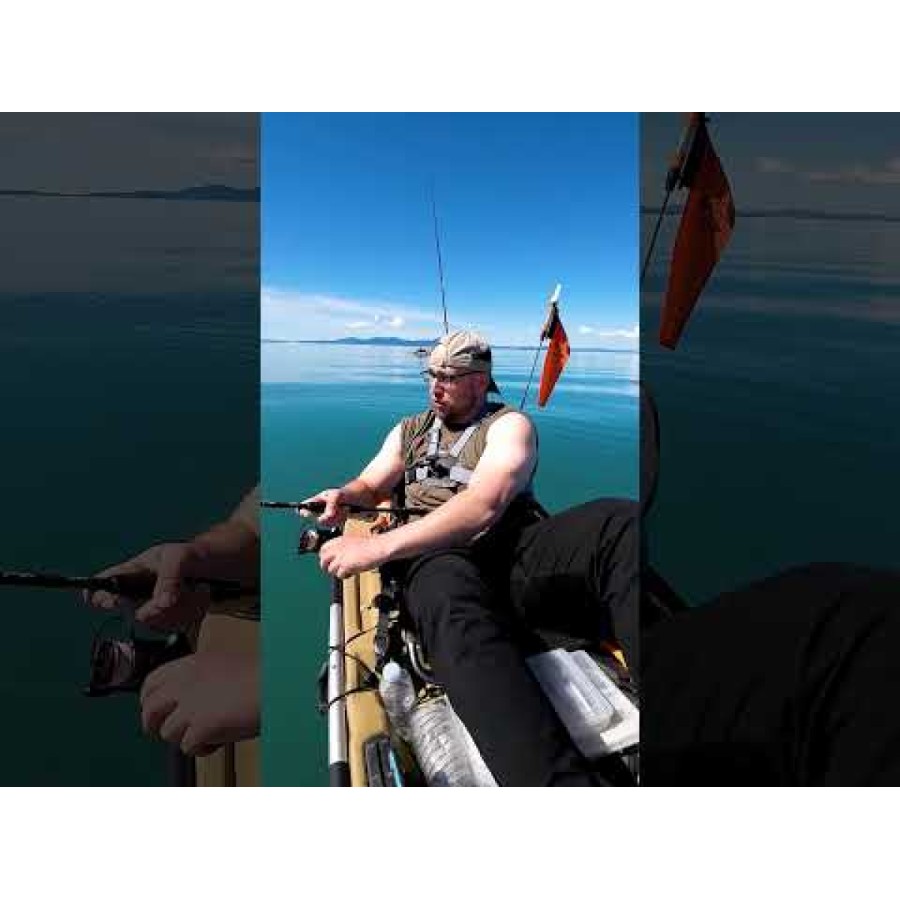 Salmo Hornet Sinking Wobbler