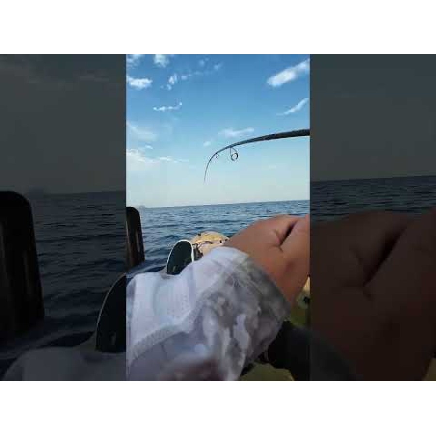 Καλάμι ψαρέματος FilStar Blue Fish Jig