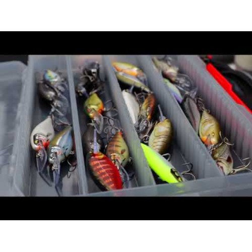 Rapala Shad Rap Elite Wobbler