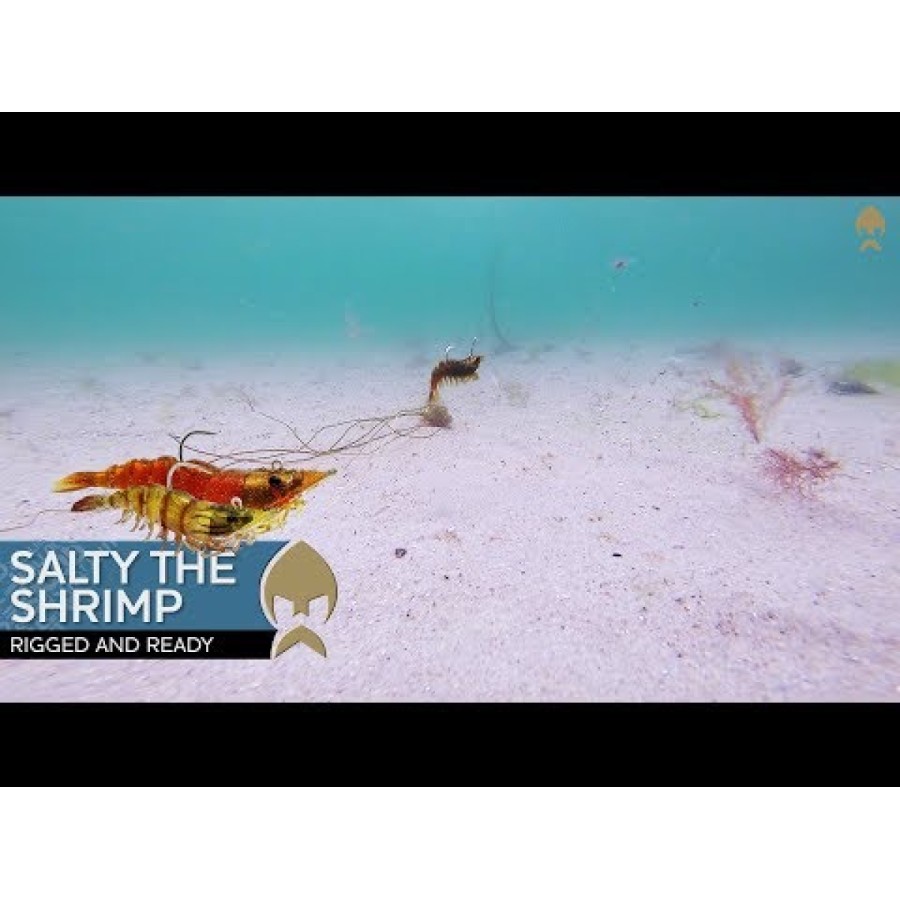 Silicon Westin Salty The Shrimp R'N R