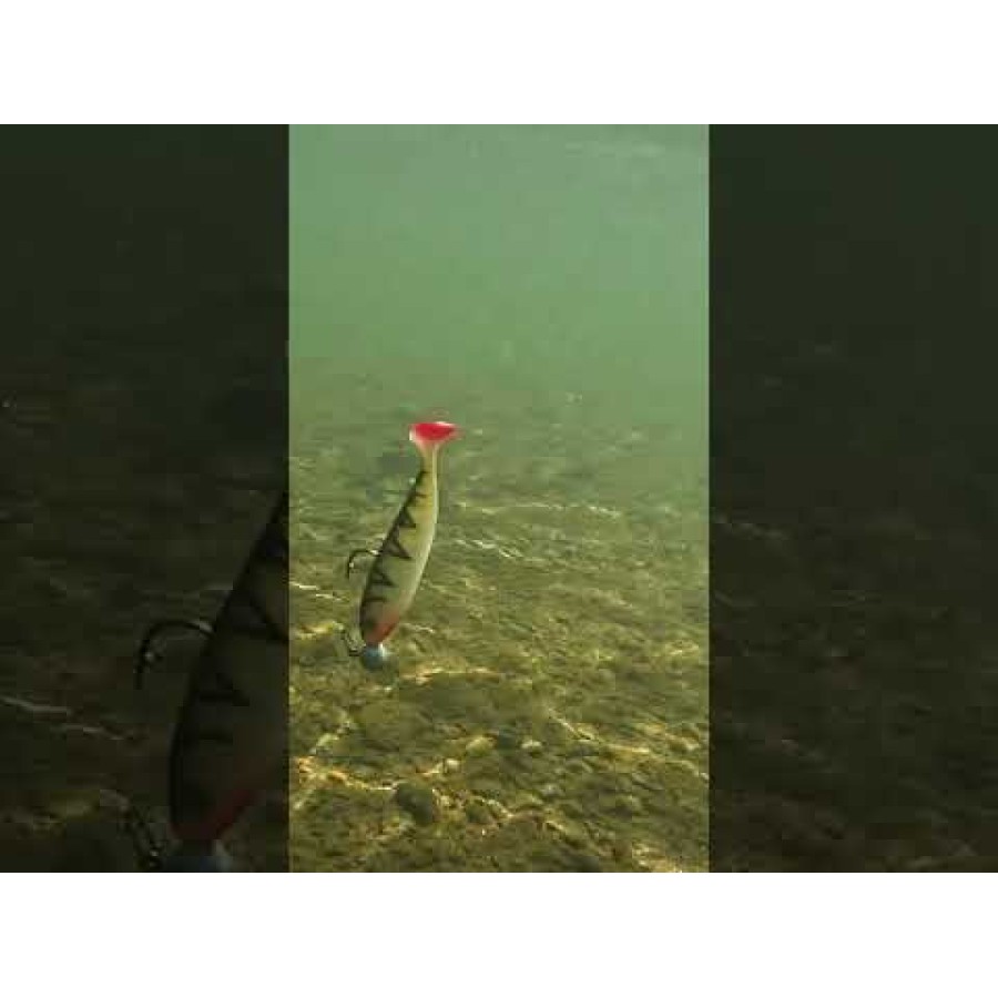 Силикон SeaBuzz Turbo Shad